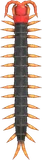 蜈蚣