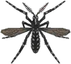 蚊子