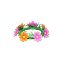 甜美波斯菊花冠
