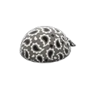paisley bandanna