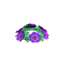 紫色銀蓮花花冠