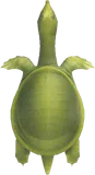 鳖