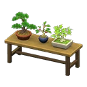 bonsai shelf
