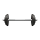 barbell