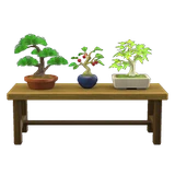 bonsai shelf