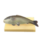 carp on a cutting board