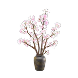 cherry-blossom branches