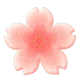cherry-blossom rug