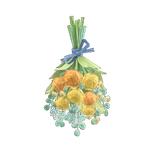 倒掛乾燥花