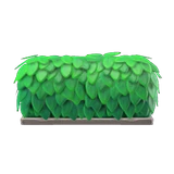 hedge