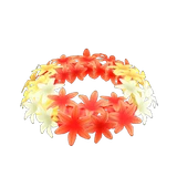 hyacinth crown
