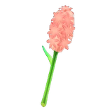 hyacinth wand