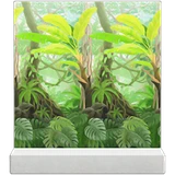 丛林壁纸