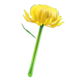 mums wand