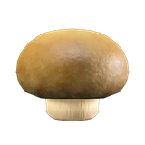 蘑菇凳子