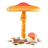 mush parasol