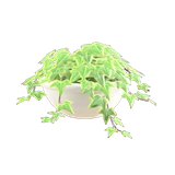 壁挂式盆栽