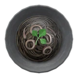 squid-ink spaghetti