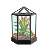 terrarium