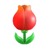 tulip surprise box
