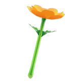 windflower wand