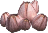 藤壶