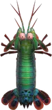 虾蛄