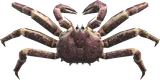 帝王蟹
