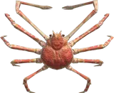 高脚蟹