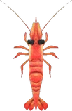 甜虾