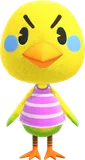 叽叽